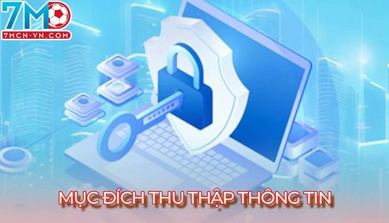 Mục đích về việc 7m thu thập thông tin người dùng