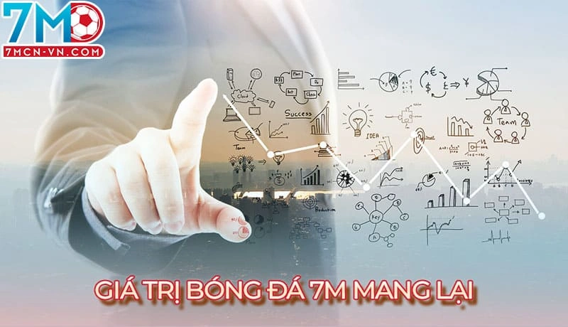 Các sản phẩm 7m đem lại cho người dùng Các sản phẩm 7m đem lại cho người dùng