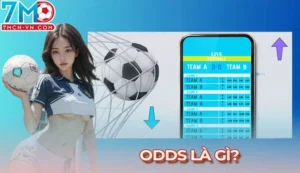 Odds là gì