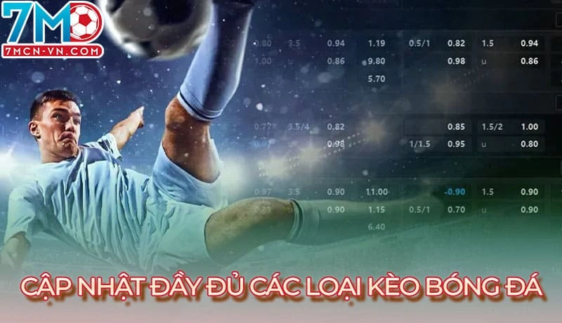 Trang web cập nhật kèo nhà cái đa dạng Trang web cập nhật kèo nhà cái đa dạng